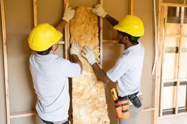 Best Garage Insulation  in Forestville, CA